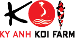 Kỳ Anh koi farm
